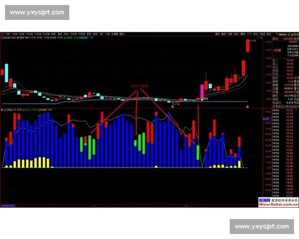 从默默无闻到一骑绝尘的黑马崛起之路全景解析与时代机遇和创新力量深度共振